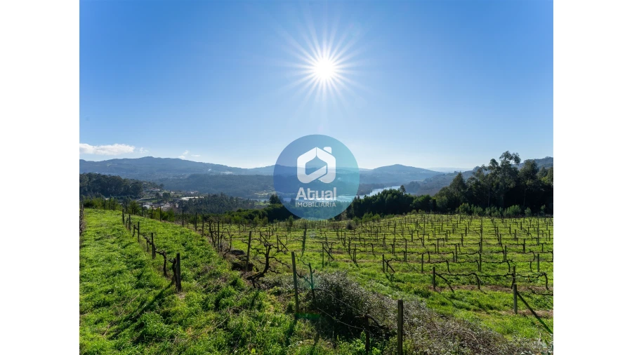 Quinta T0 para Venda em Abragão Foto 9