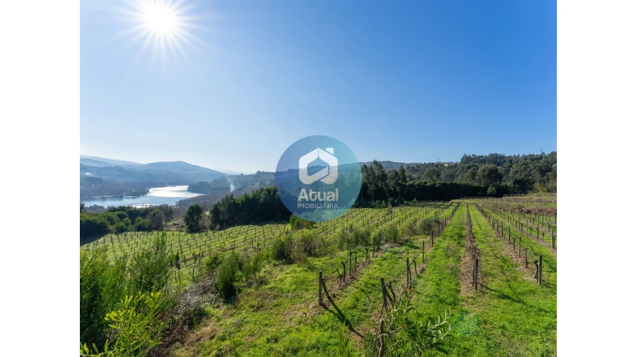 Quinta T0 para Venda em Abragão Foto 3