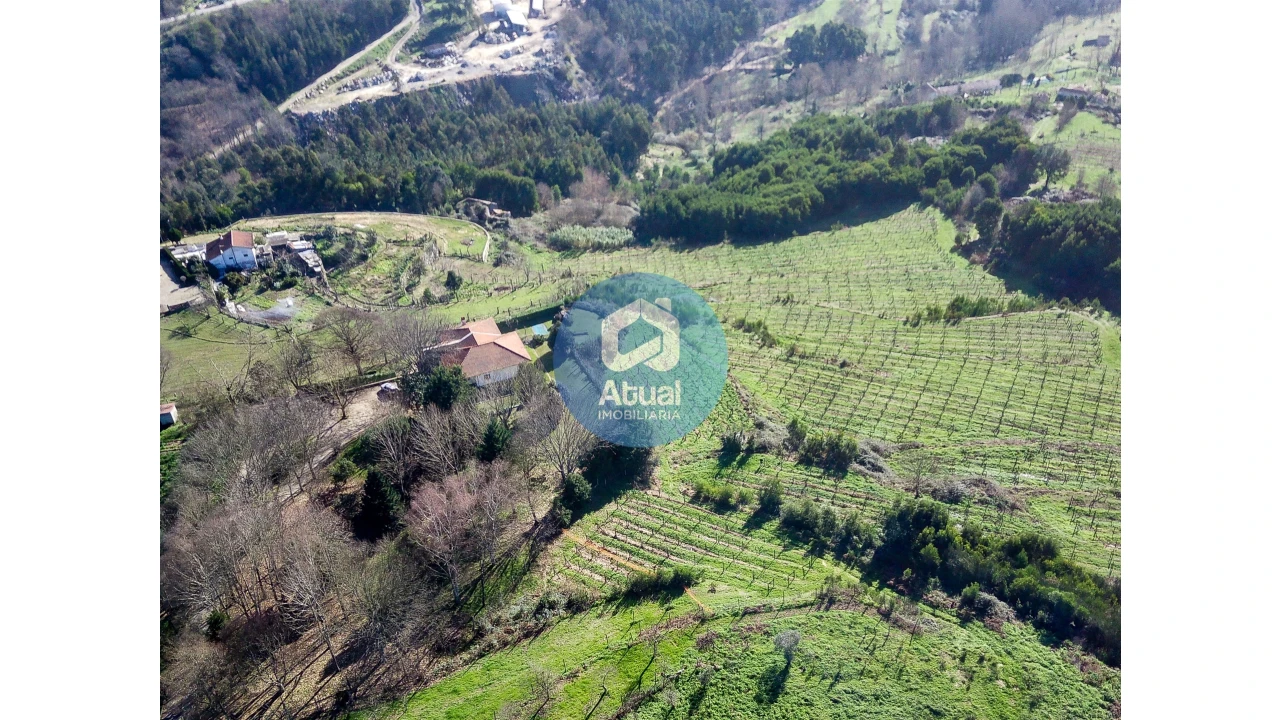 Quinta T0 para Venda em Abragão Foto 5