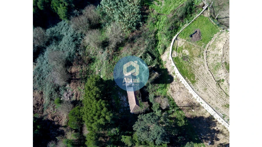 Quinta T0 para Venda em Abragão Foto 10