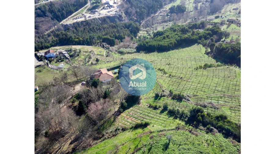 Quinta T0 para Venda em Abragão Foto 5