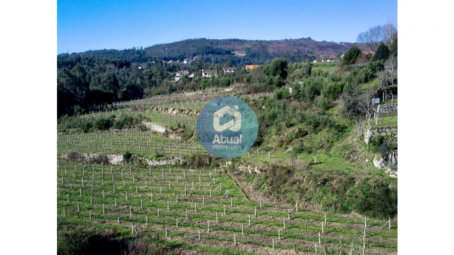 Quinta T0 para Venda em Abragão Foto 17