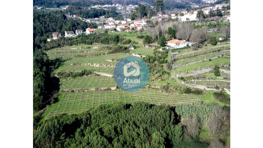 Quinta T0 para Venda em Abragão Foto 8