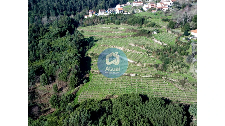 Quinta T0 para Venda em Abragão Foto 2