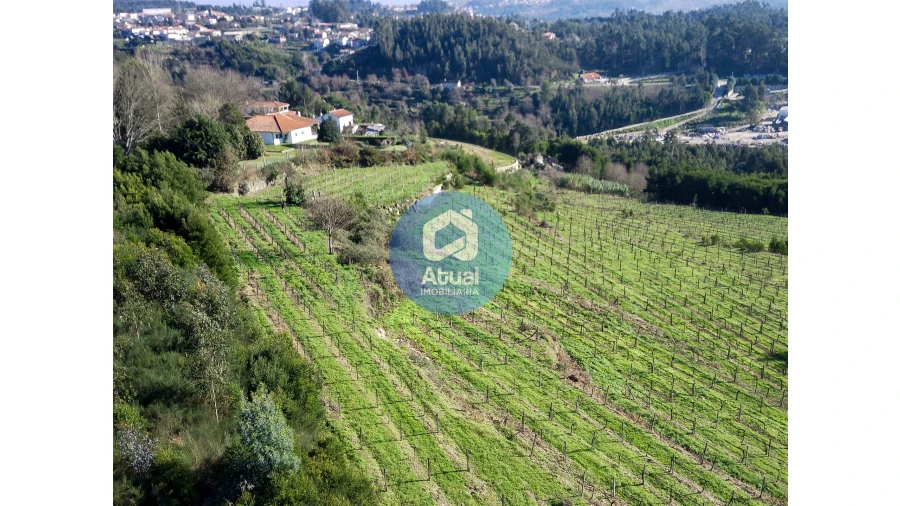 Quinta T0 para Venda em Abragão Foto 9