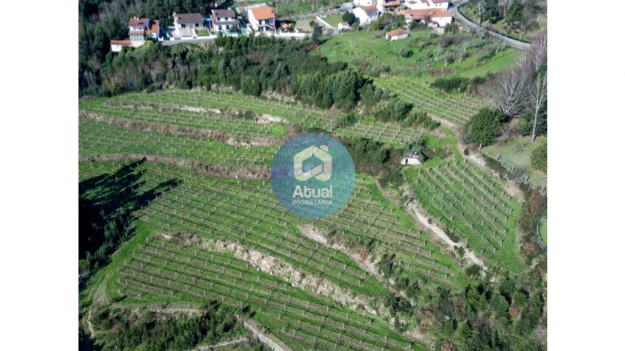 Quinta T0 para Venda em Abragão Foto 7