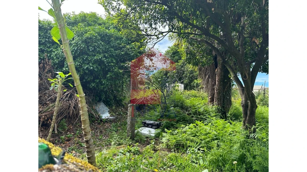 Terreno para Venda em Vila Verde e Barbudo Foto 4