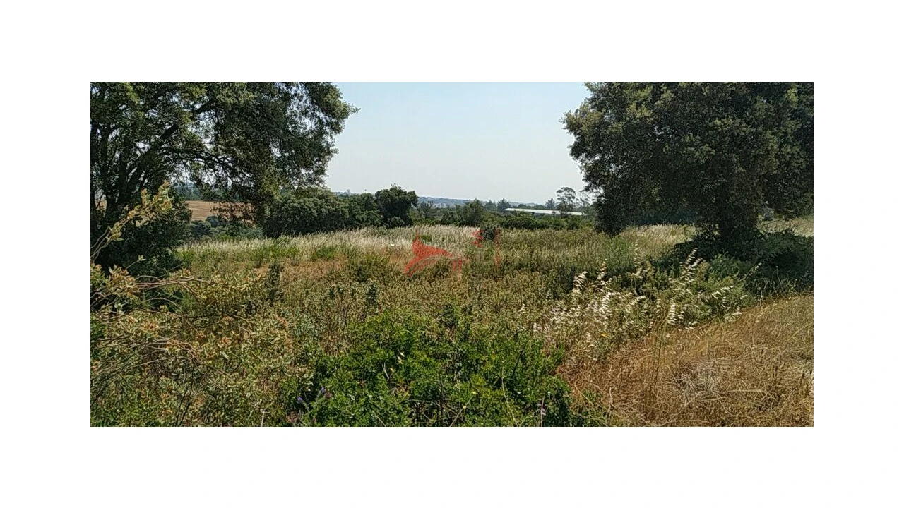 Terreno para Venda em Abitureiras Foto 9