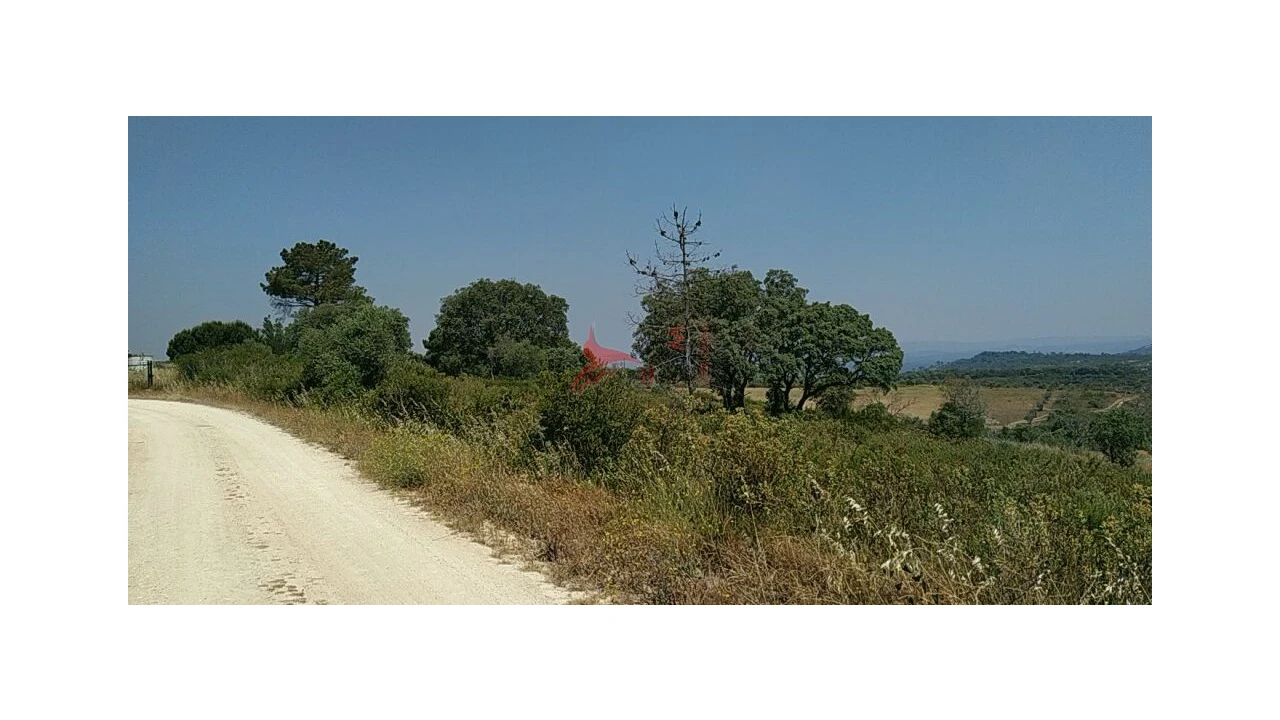 Terreno para Venda em Abitureiras Foto 11