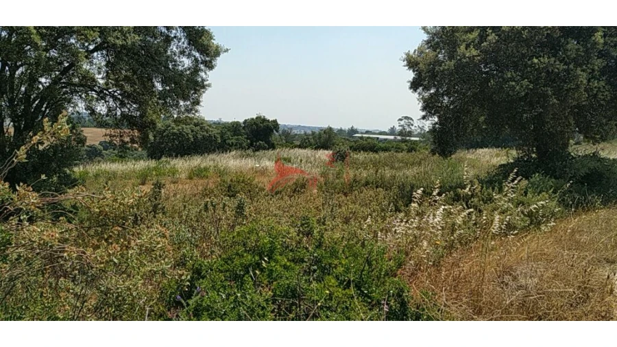Terreno para Venda em Abitureiras Foto 9