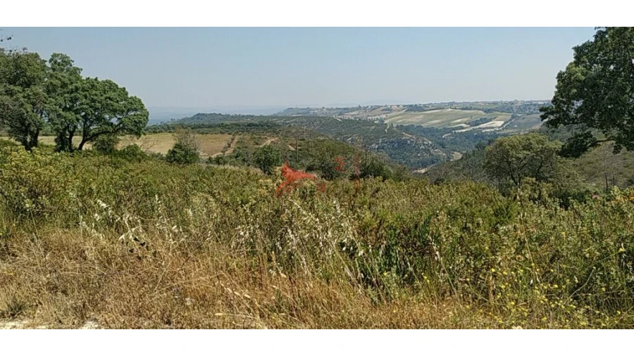 Terreno para Venda em Abitureiras Foto 10