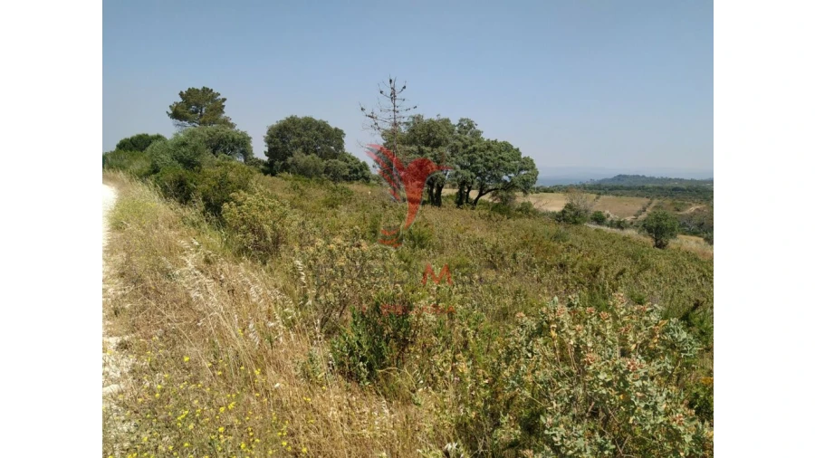 Terreno para Venda em Abitureiras Foto 7