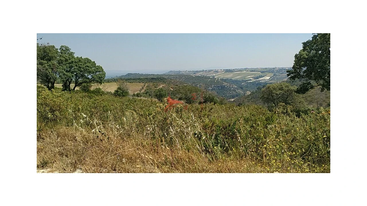 Terreno para Venda em Abitureiras Foto 10