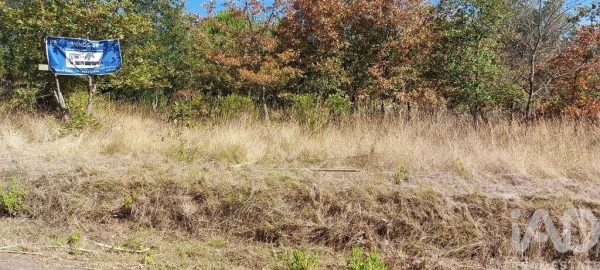 Terreno para Venda em Colmeias e Memória