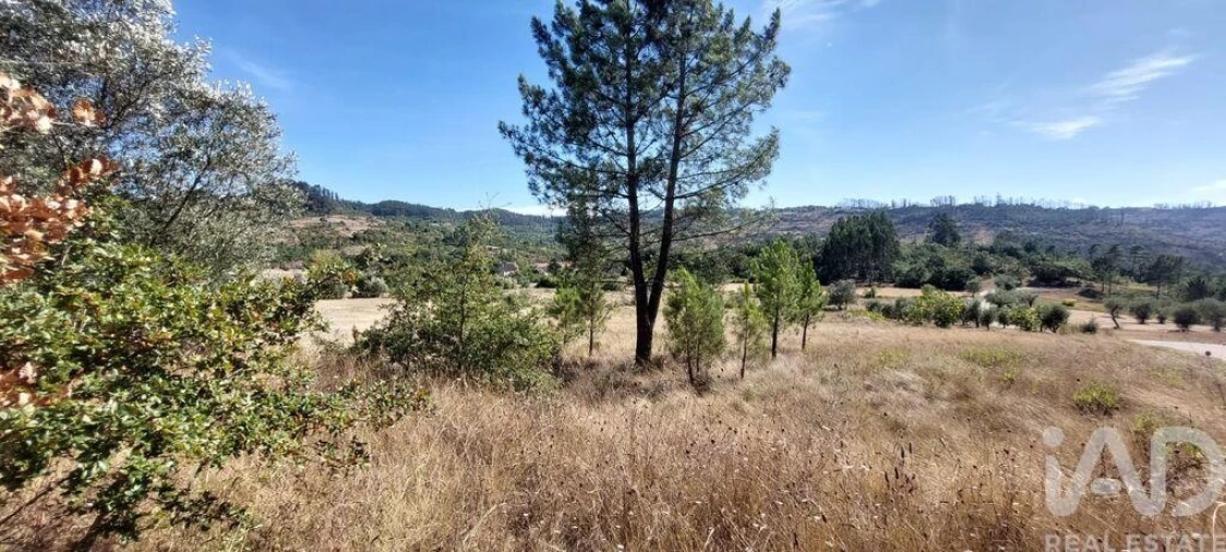Terreno para Venda em Colmeias e Memória Foto 3