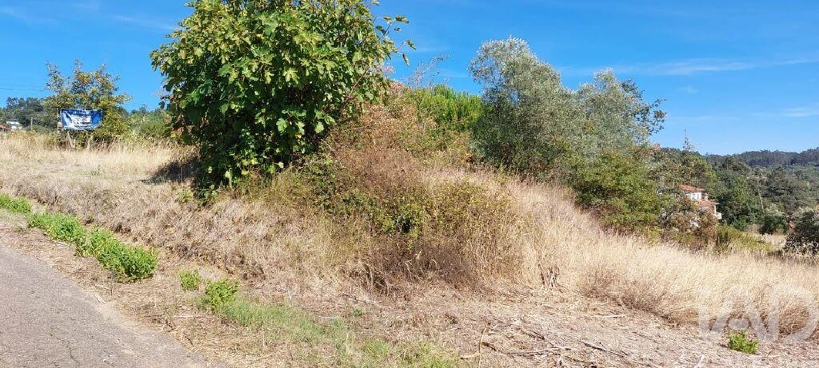Terreno para Venda em Colmeias e Memória Foto 11