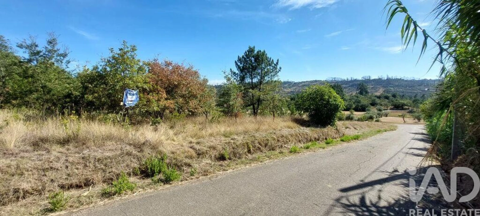Terreno para Venda em Colmeias e Memória Foto 2