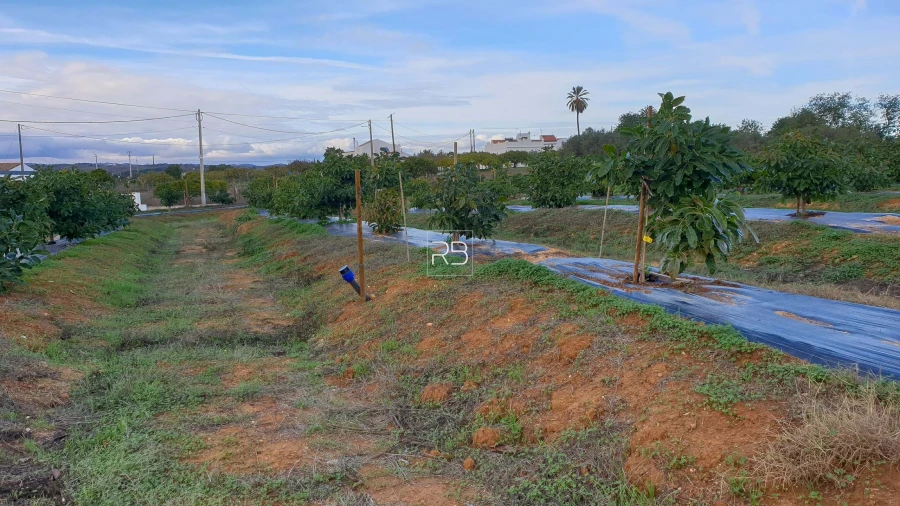 Quinta T4 para Venda em Vila Nova de Cacela Foto 10