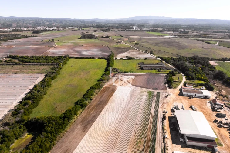 Terreno para Venda em Odeceixe Foto 8
