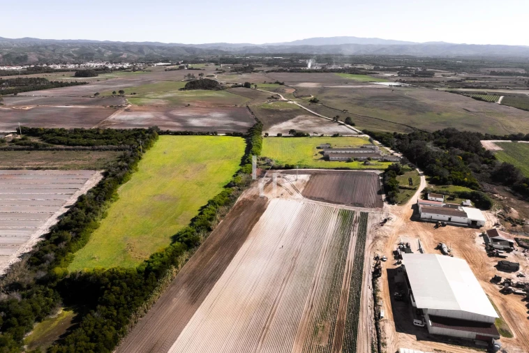 Terreno para Venda em Odeceixe Foto 9