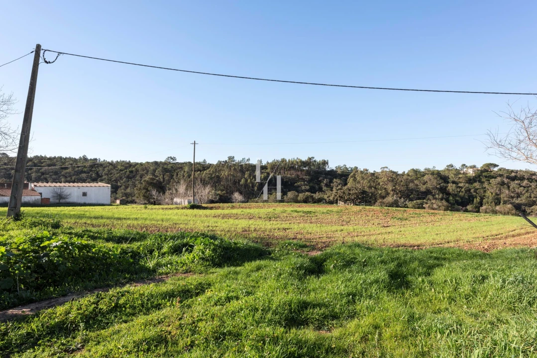 Terreno para Venda em Aljezur Foto 8