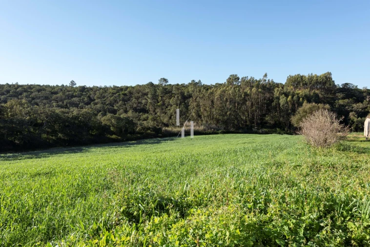 Terreno para Venda em Aljezur Foto 16