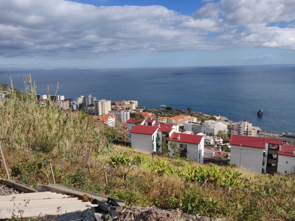 Terreno para Venda em São Martinho Foto 1