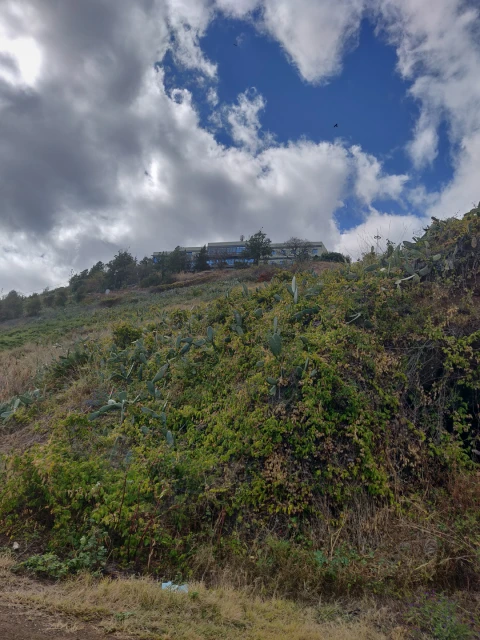 Terreno para Venda em São Martinho