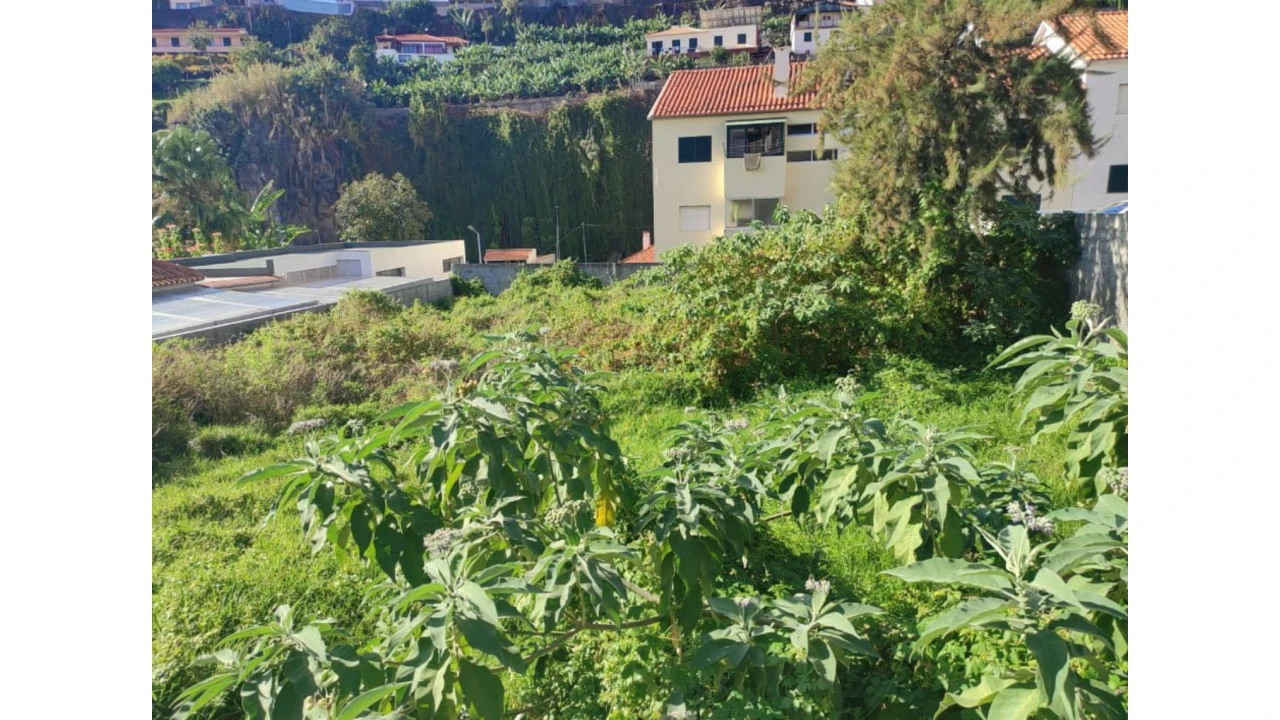 Terreno para Venda em Funchal (Santa Luzia) Foto 4