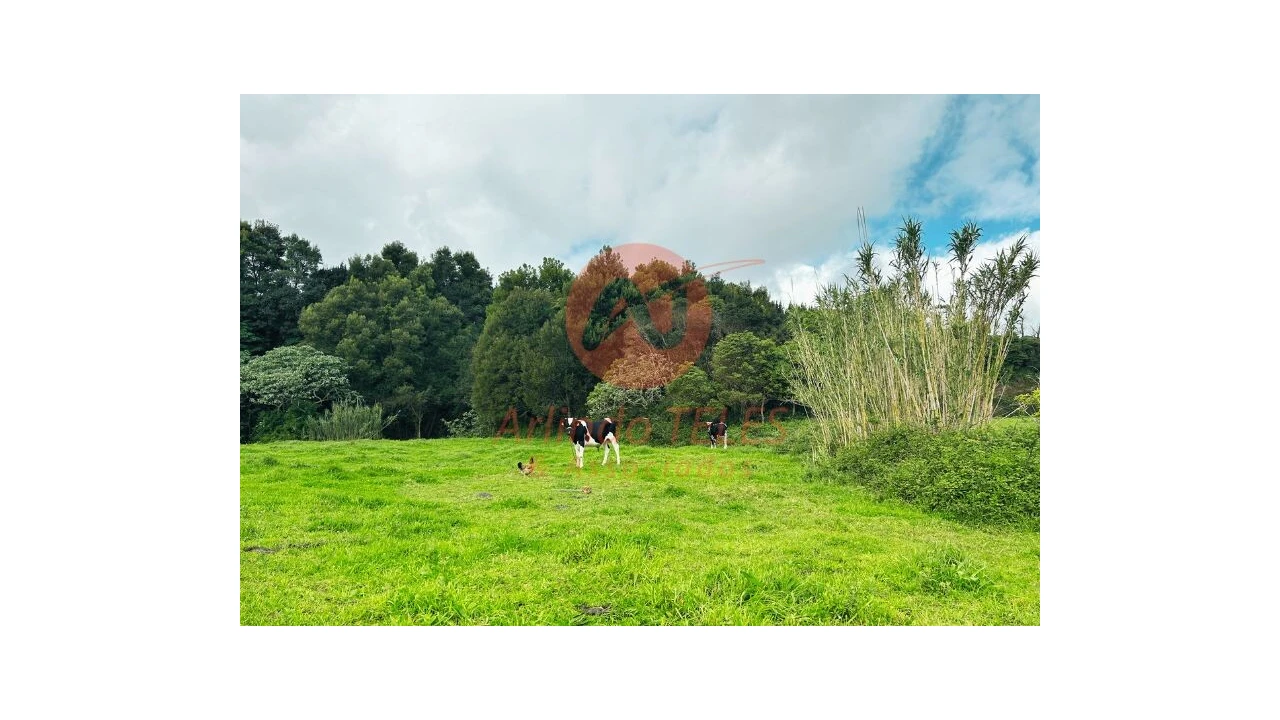 Terreno para Venda em Praia da Vitoria (Santa Cruz) Foto 4
