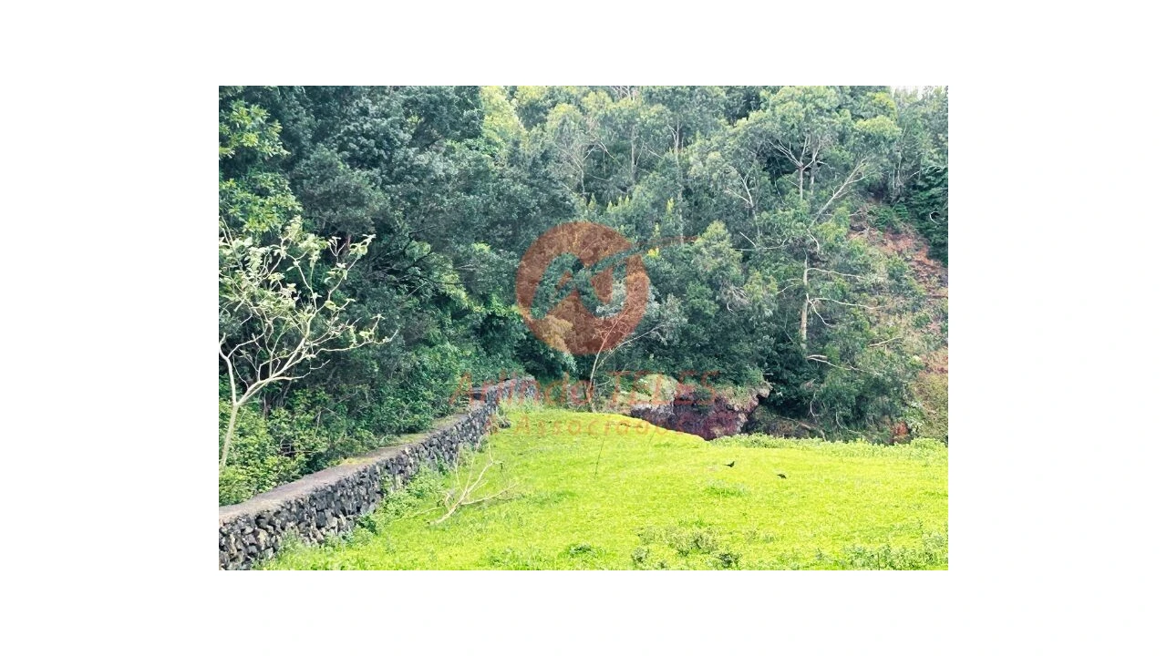 Terreno para Venda em Praia da Vitoria (Santa Cruz) Foto 24