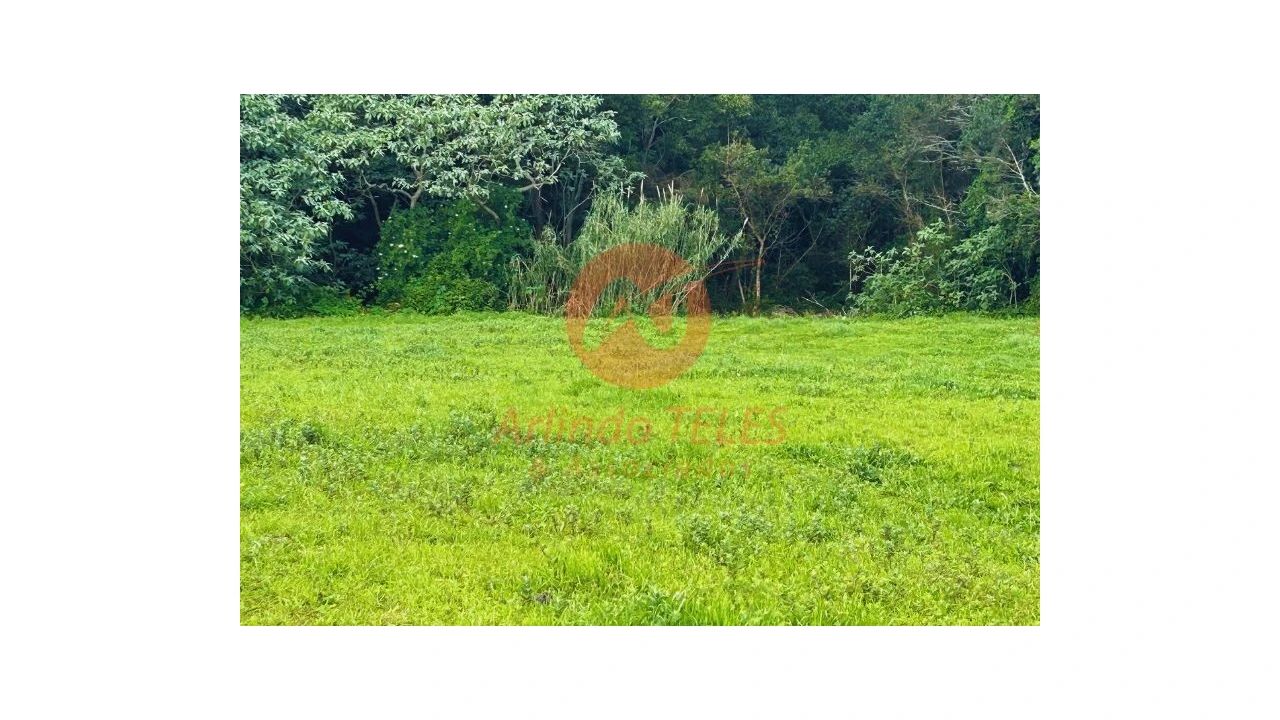 Terreno para Venda em Praia da Vitoria (Santa Cruz) Foto 11