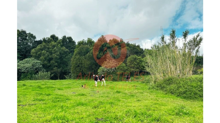 Terreno para Venda em Praia da Vitoria (Santa Cruz) Foto 4
