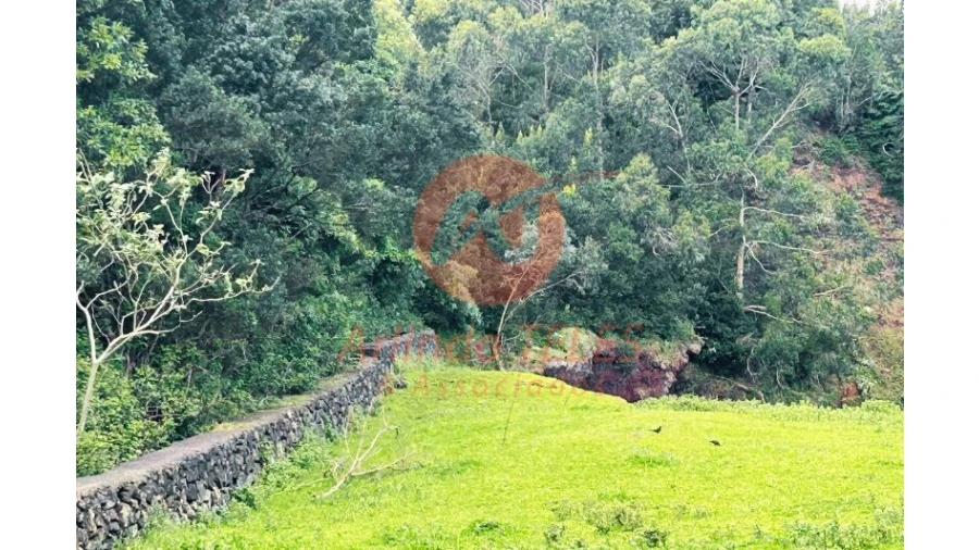 Terreno para Venda em Praia da Vitoria (Santa Cruz) Foto 24