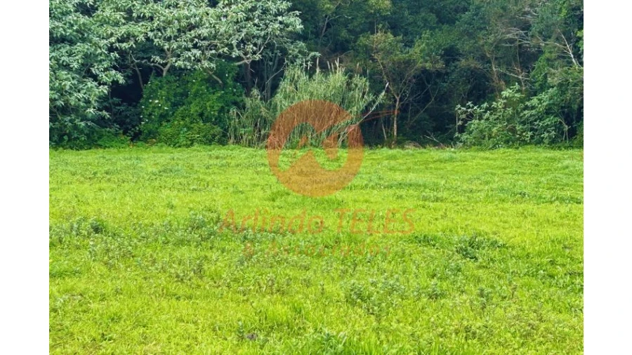 Terreno para Venda em Praia da Vitoria (Santa Cruz) Foto 11