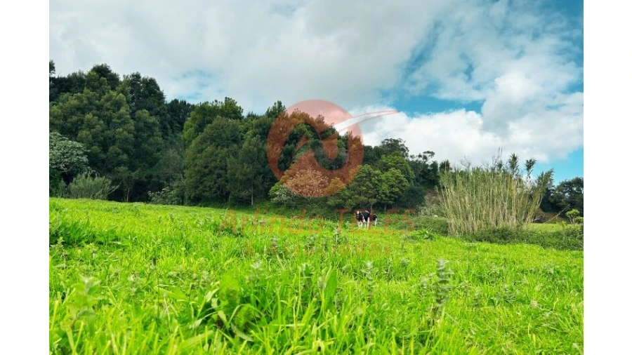 Terreno para Venda em Praia da Vitoria (Santa Cruz) Foto 7