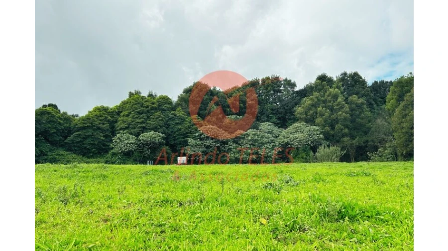 Terreno para Venda em Praia da Vitoria (Santa Cruz) Foto 6