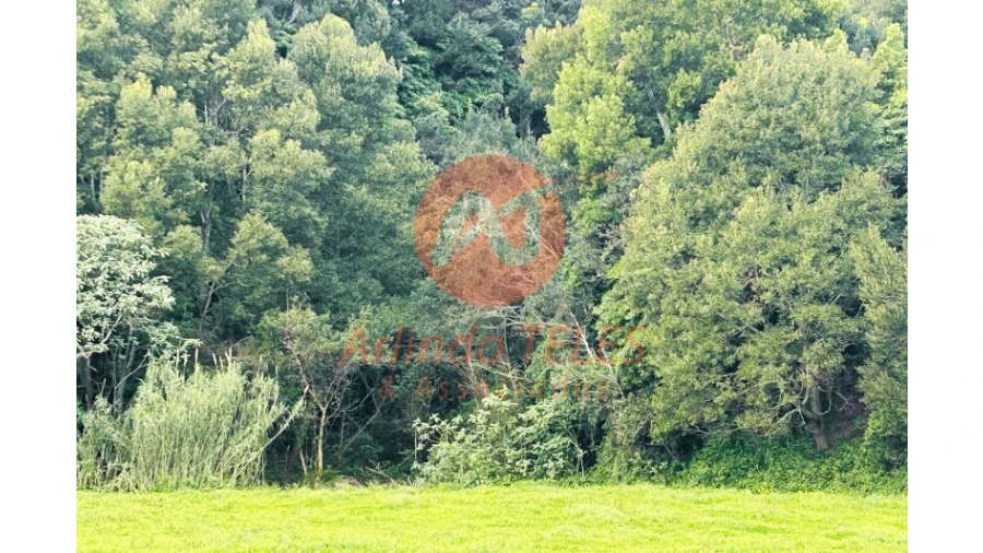 Terreno para Venda em Praia da Vitoria (Santa Cruz) Foto 10