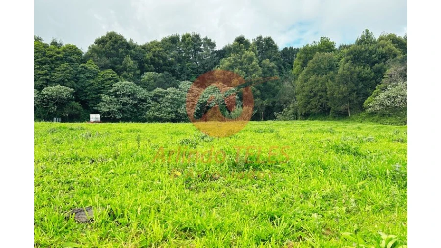 Terreno para Venda em Praia da Vitoria (Santa Cruz) Foto 5