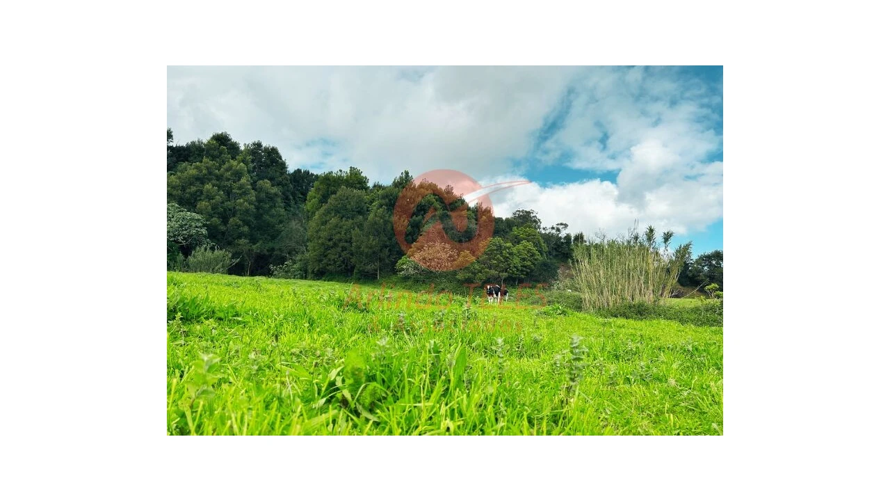 Terreno para Venda em Praia da Vitoria (Santa Cruz) Foto 7