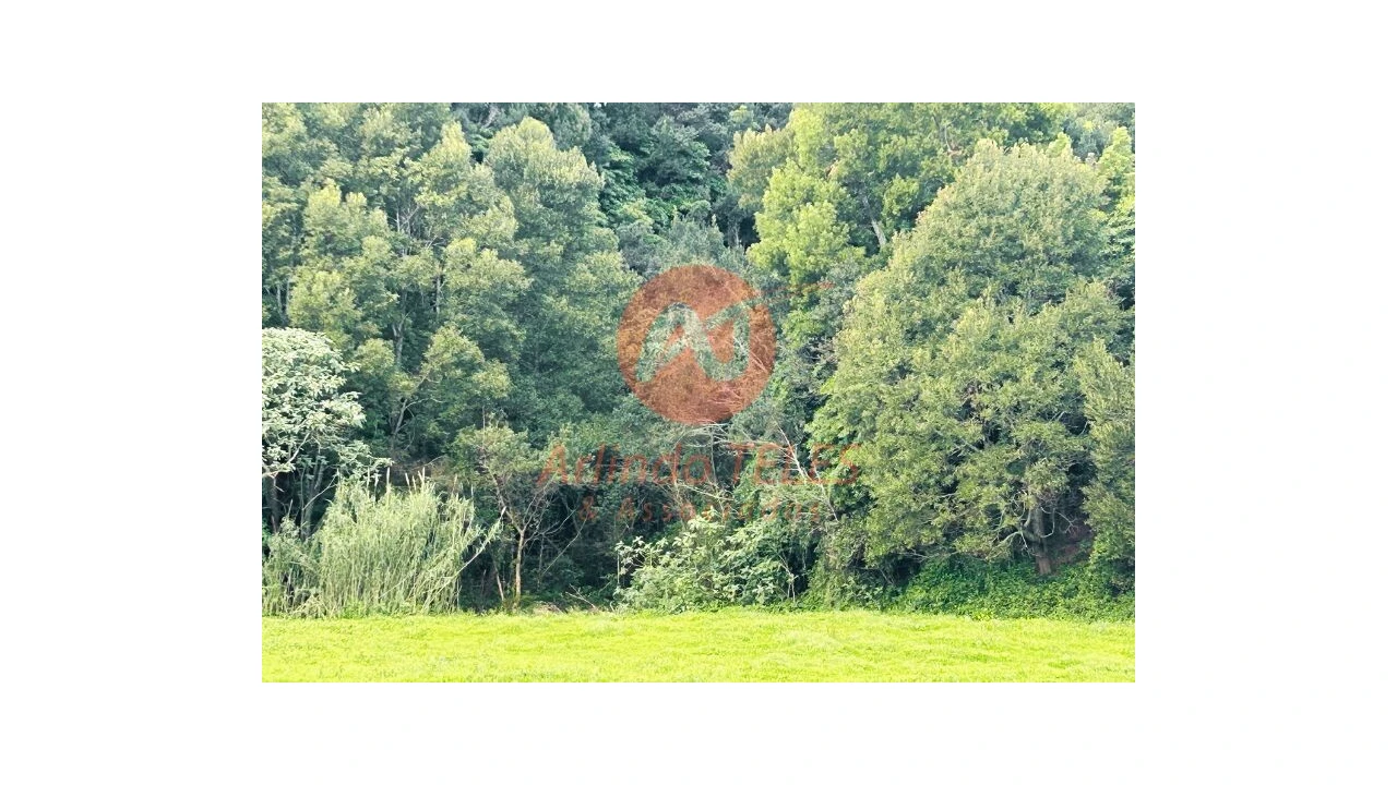 Terreno para Venda em Praia da Vitoria (Santa Cruz) Foto 10