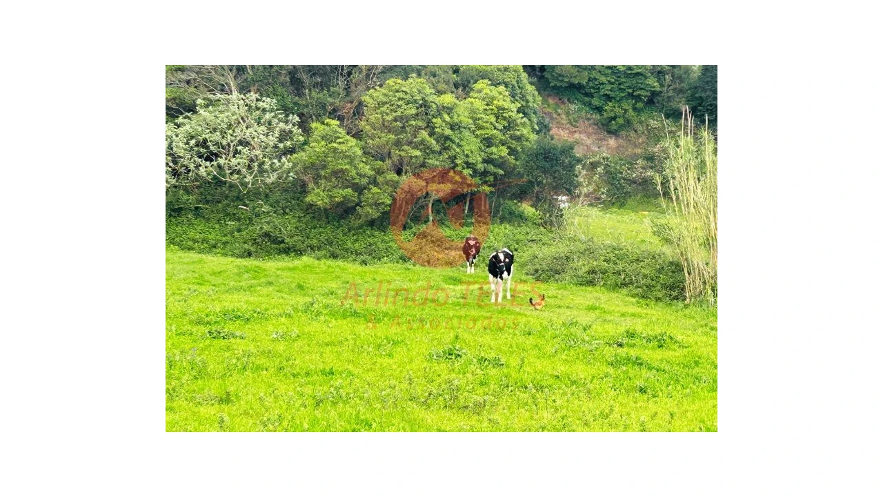 Terreno para Venda em Praia da Vitoria (Santa Cruz) Foto 12