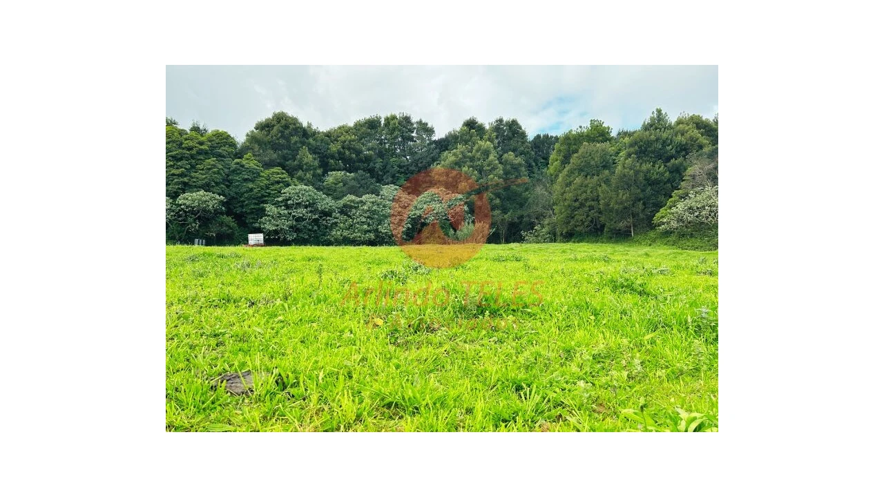 Terreno para Venda em Praia da Vitoria (Santa Cruz) Foto 5