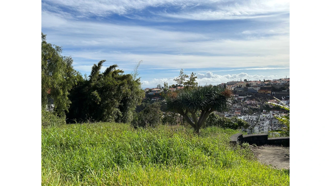 Terreno para Venda em Funchal (Santa Luzia) Foto 10