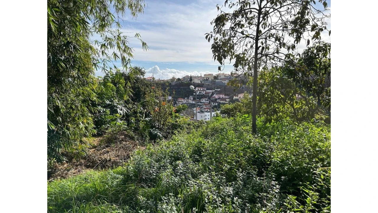 Terreno para Venda em Funchal (Santa Luzia) Foto 18