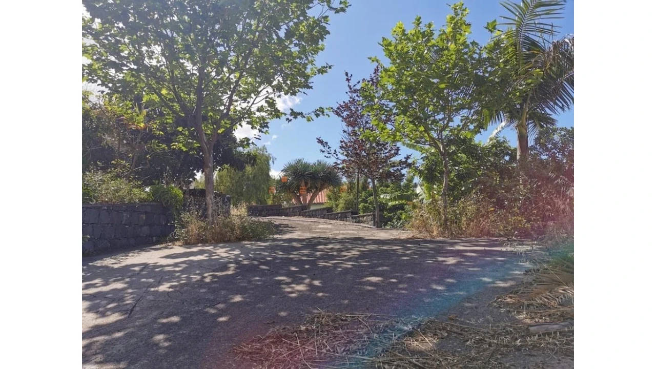 Terreno para Venda em Funchal (Santa Luzia) Foto 15