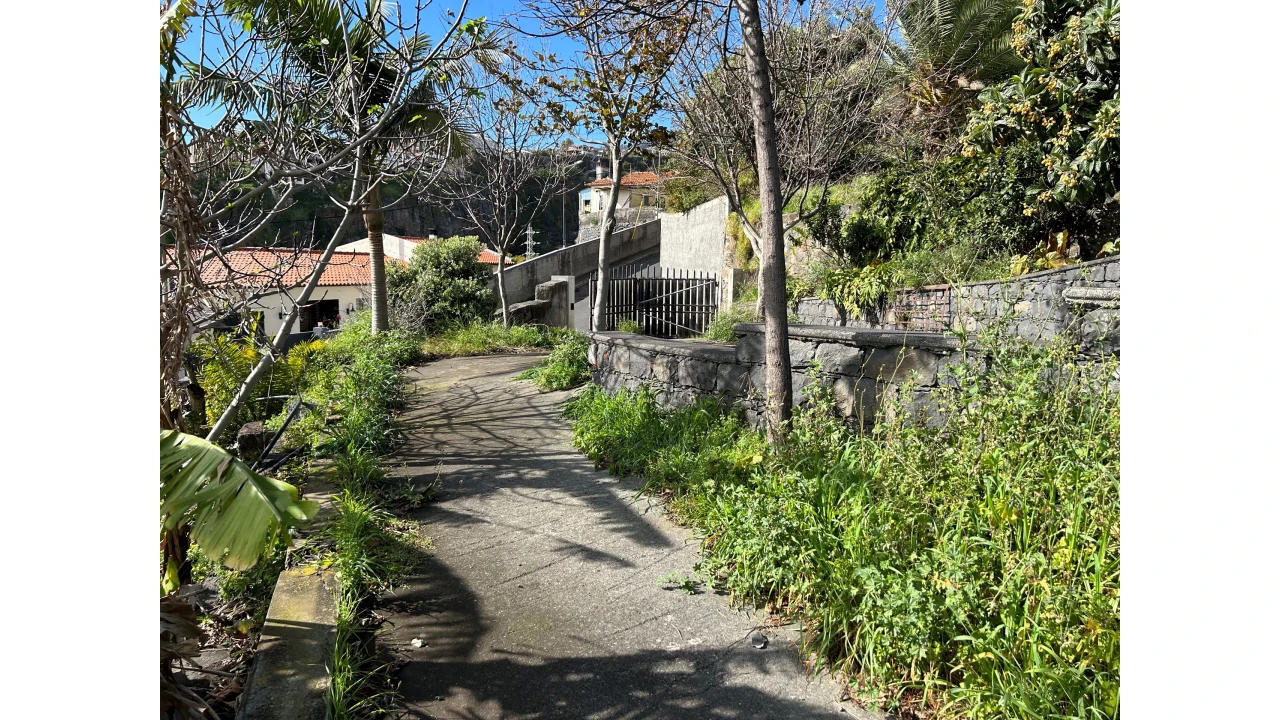 Terreno para Venda em Funchal (Santa Luzia) Foto 8