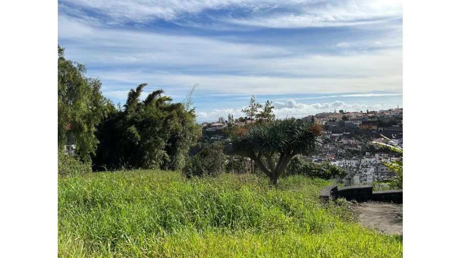 Terreno para Venda em Funchal (Santa Luzia) Foto 10