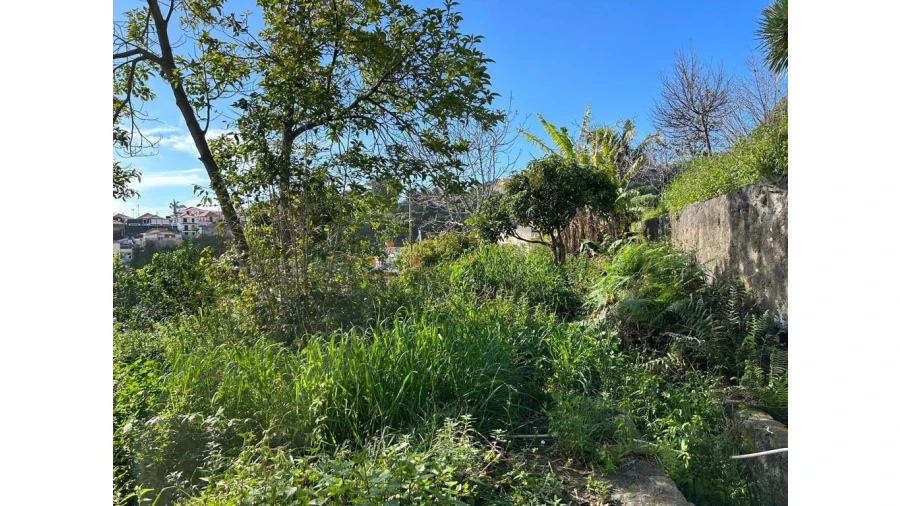 Terreno para Venda em Funchal (Santa Luzia) Foto 19