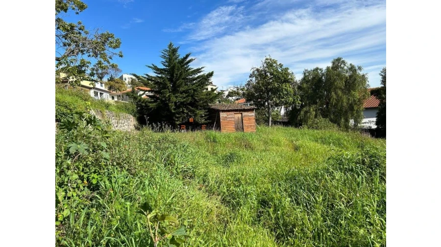 Terreno para Venda em Funchal (Santa Luzia) Foto 14